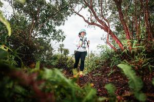 BIB: 
                            <button type="button" onclick="openModal(26210025)" class="btn btn-primary btn-sm float-right btn-popup" data-toggle="modal" data-target=".modal-high-quality">
                        <i class="fas fa-shopping-cart"></i> Add to Cart
                    </button>
                                            <button type="button" onclick="isThisMe(26210025, true)" class="btn btn-success btn-sm float-right btn-popup btn-isme hidden" data-toggle="tooltip" data-placement="bottom" title="นี่คือรูปของคุณใช่ไหม คลิกที่นี่เพื่อเอาเข้าอัลบั้ม">
                        <i class="fas fa-plus"></i> Add to album
                    </button>
                    <button type="button" onclick="isThisMe(26210025, false)" class="btn btn-warning btn-sm float-right btn-popup btn-isnotme hidden">
                        <i class="fas fa-ban"></i> Remove from album
                    </button>